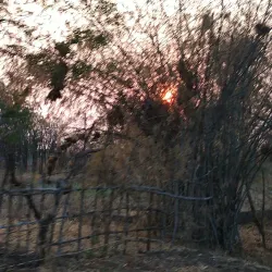 Dhamma Chakra Vipassana Centre - Amravati