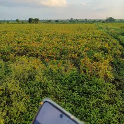 Dhamma Chakra Vipassana Centre - Amravati