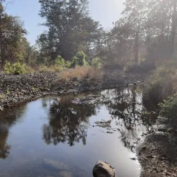 Melghat Tiger Reserve - Amravati