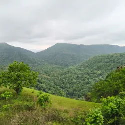 Melghat Tiger Reserve - Amravati