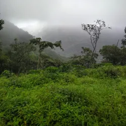 Melghat Tiger Reserve - Amravati