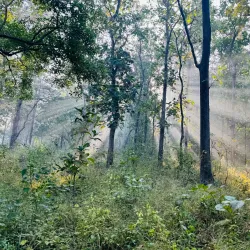 Melghat Tiger Reserve - Amravati