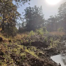 Melghat Tiger Reserve - Amravati