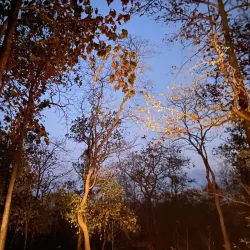 Pench National Park - Amravati