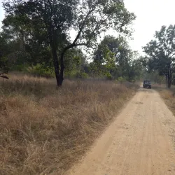 Pench National Park - Amravati