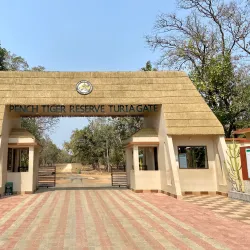 Pench National Park - Amravati