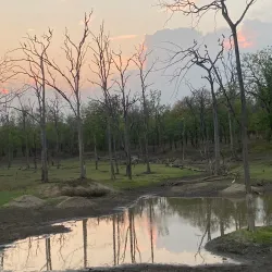 Pench National Park - Amravati