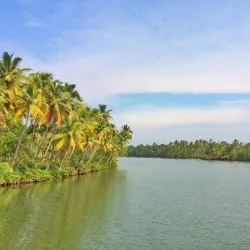 Ashtamudi Lake - Amritapuri
