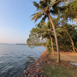 Ashtamudi Lake - Amritapuri