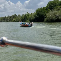 Kollam Backwaters - Amritapuri