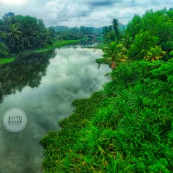 Sasthamcotta Lake - Amritapuri