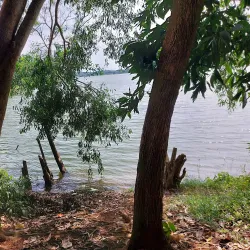 Sasthamcotta Lake - Amritapuri