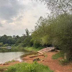 Sasthamcotta Lake - Amritapuri