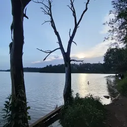 Sasthamcotta Lake - Amritapuri