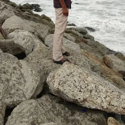 Valiyaperumpuzha Beach - Amritapuri