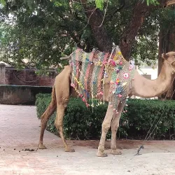 Gobindgarh Fort - Amritsar