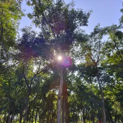 Anand Agricultural University - Anand