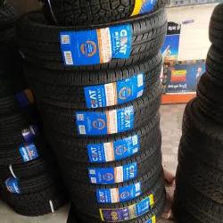 Anand Market - Anand