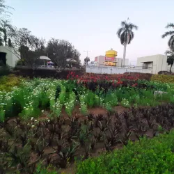 Sardar Patel Museum - Anand