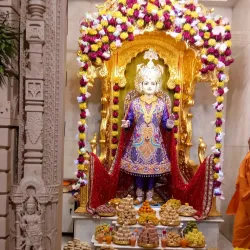 Swaminarayan Temple, Anand - Anand