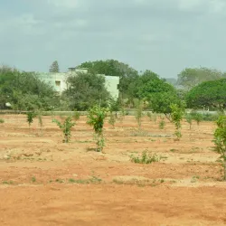 Sri Krishnadevaraya University - Anantapur