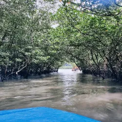 Baratang Island - Andaman Islands