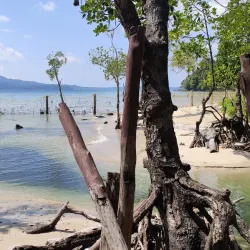 Chidiya Tapu - Andaman Islands