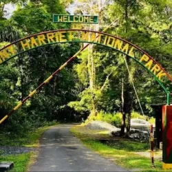 Mount Harriet National Park - Andaman Islands