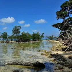 Neil Island - Andaman Islands