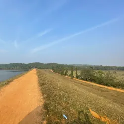 Chandaka Elephant Sanctuary - Angul