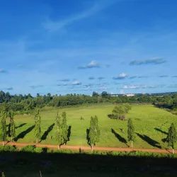 Chandaka Elephant Sanctuary - Angul