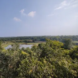 Chandaka Elephant Sanctuary - Angul