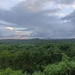 Chandaka Elephant Sanctuary - Angul