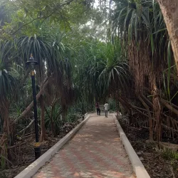 Deulajhari Hot Springs - Angul