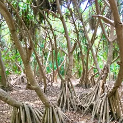 Deulajhari Hot Springs - Angul