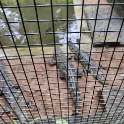 Kaniha Wildlife Sanctuary - Angul