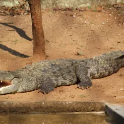 Kaniha Wildlife Sanctuary - Angul