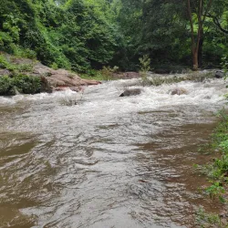 Kaniha Wildlife Sanctuary - Angul