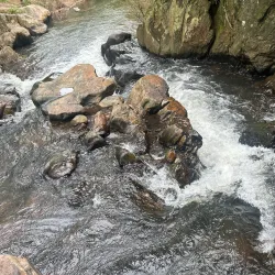 Kaniha Wildlife Sanctuary - Angul