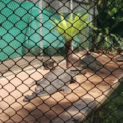 Kaniha Wildlife Sanctuary - Angul