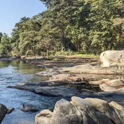 Kaniha Wildlife Sanctuary - Angul