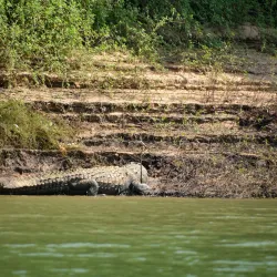 Satkosia Tiger Reserve - Angul