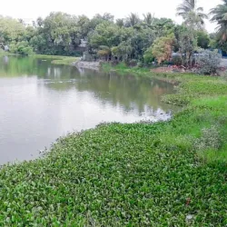 Salim Ali Lake and Bird Sanctuary - Aurangabad