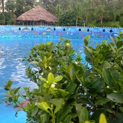 Nearby Hoshiarpur Attractions - Banga