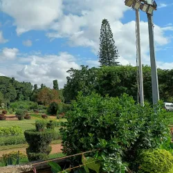 Bangalore Palace - Bangalore