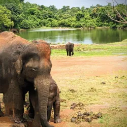 Bannerghatta National Park - Bangalore