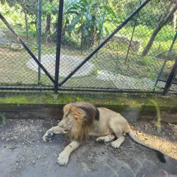 Bannerghatta National Park - Bangalore
