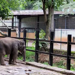 Bannerghatta National Park - Bangalore