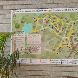 Bannerghatta National Park - Bangalore