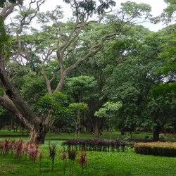 Cubbon Park - Bangalore